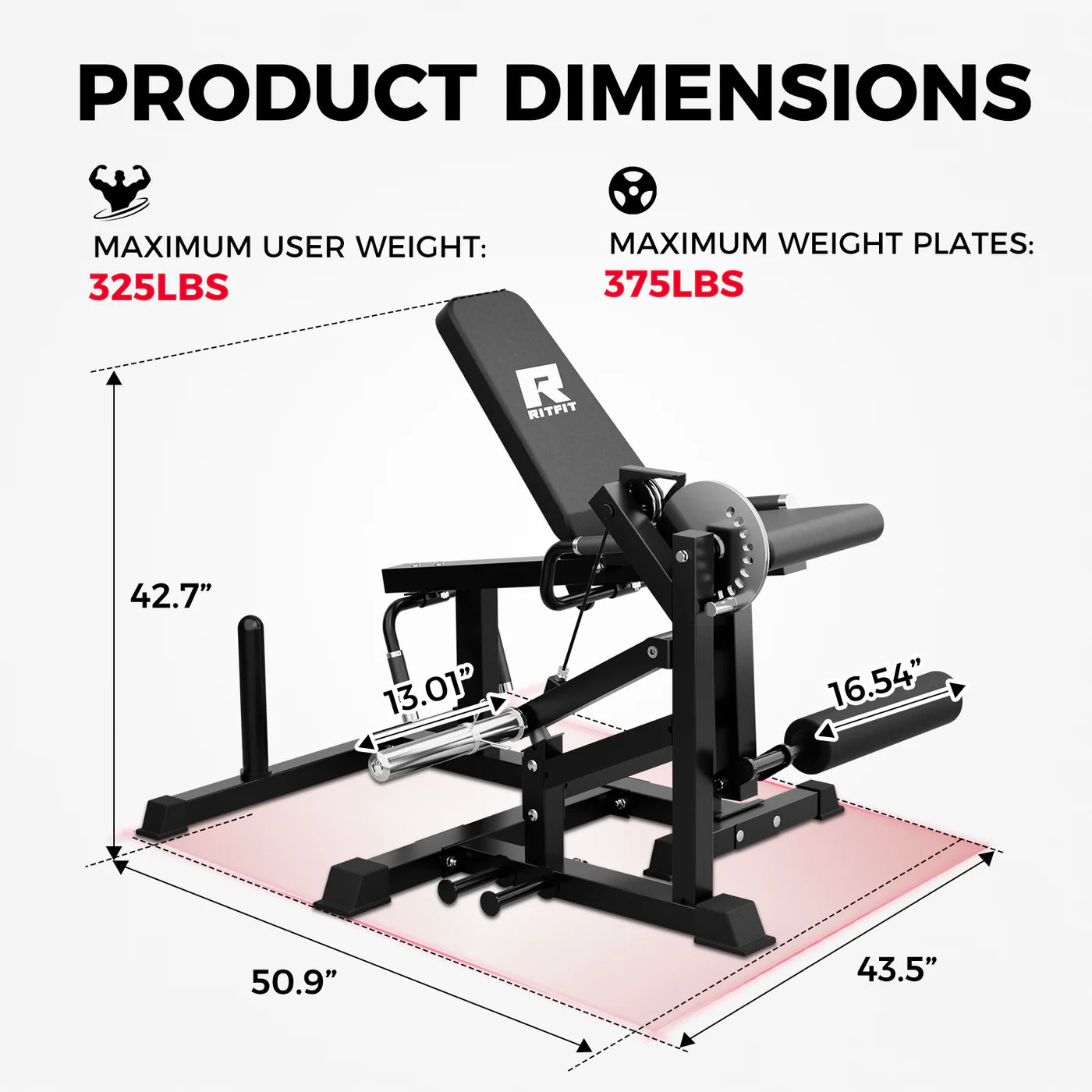 RitFit PLC01 Leg Extension Curl Machine